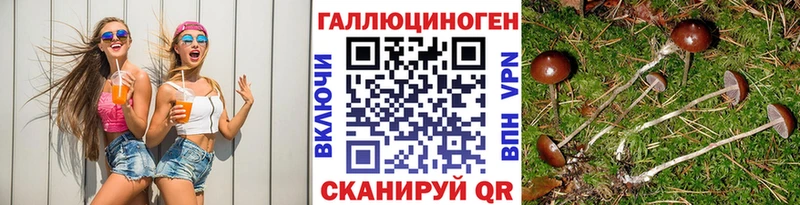 Псилоцибиновые грибы Psilocybe  Старый Оскол 