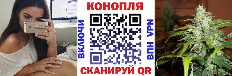 Бошки Шишки AK-47 Старый Оскол